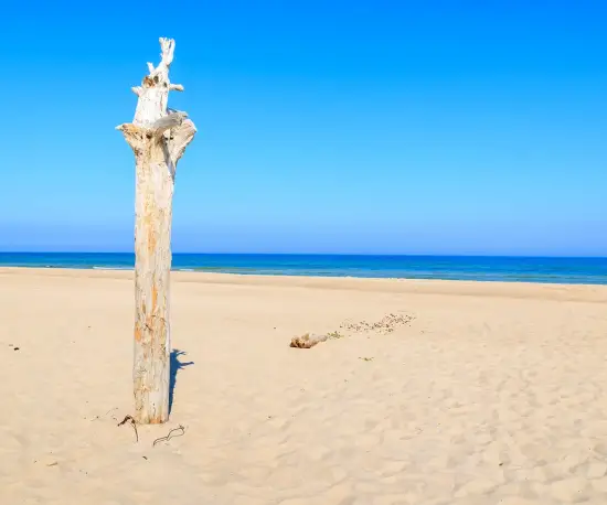 Plaża w Ustce