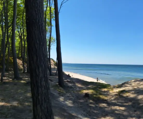 Wydmy i plaża w Orzechowie