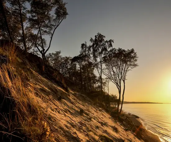Wydmy i plaża w Orzechowie