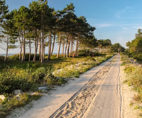 Leśna ścieżka rowerowa wzdłuż plaży