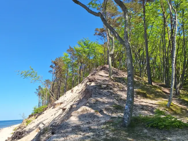 Okolica