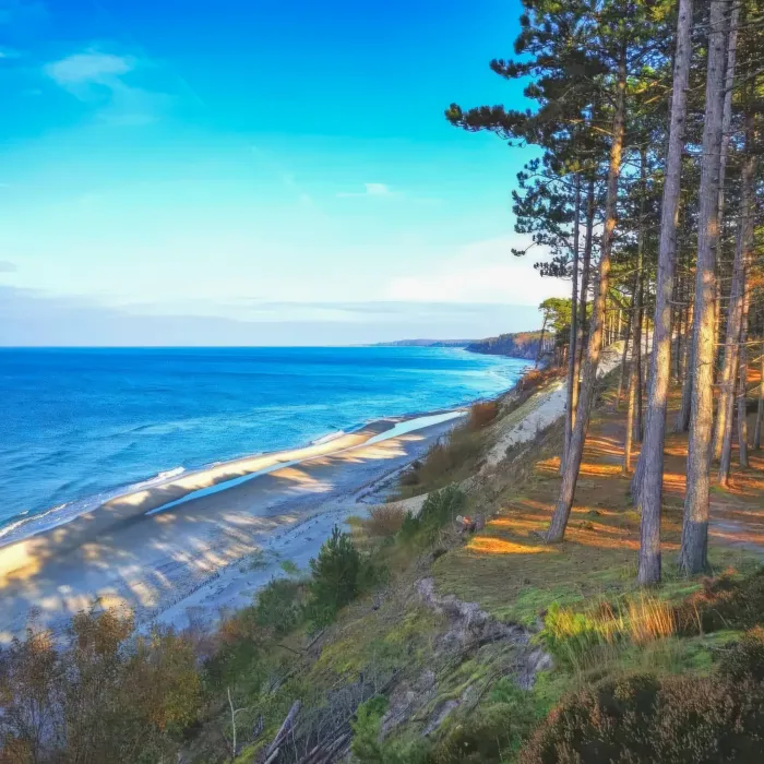 Wydmy i plaża w Orzechowie