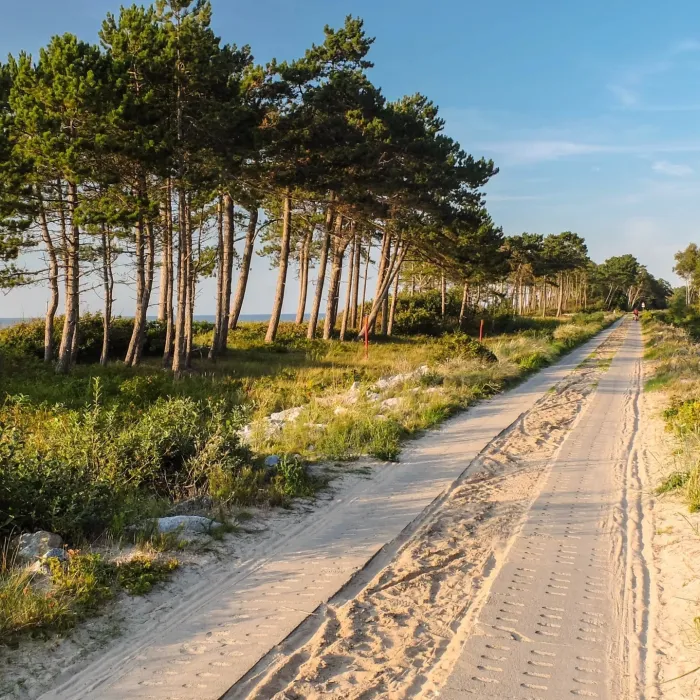 Ścieżki i trasy rowerowe